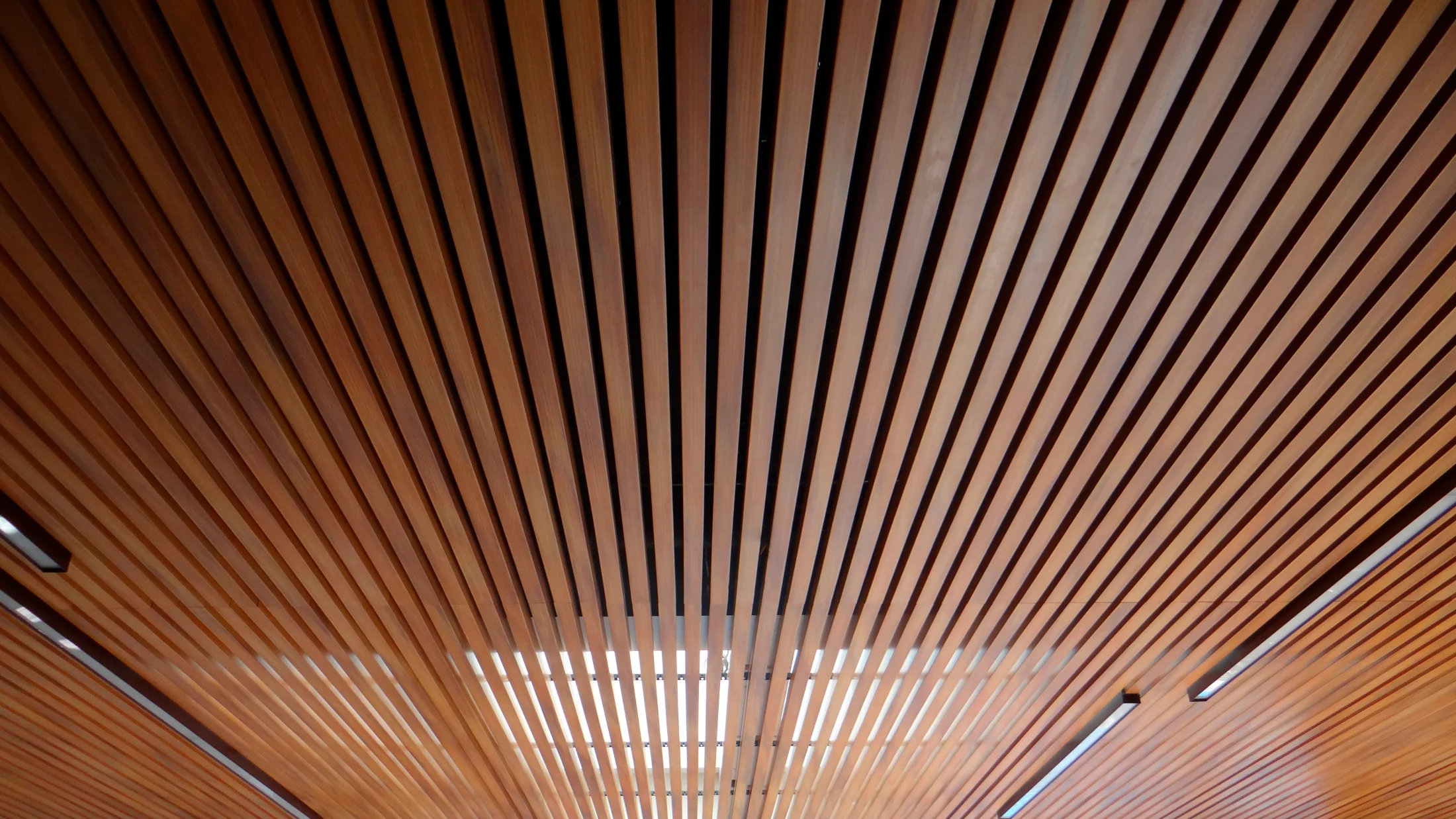 Slatted ceiling in Lesco ecological wood in a commercial space.