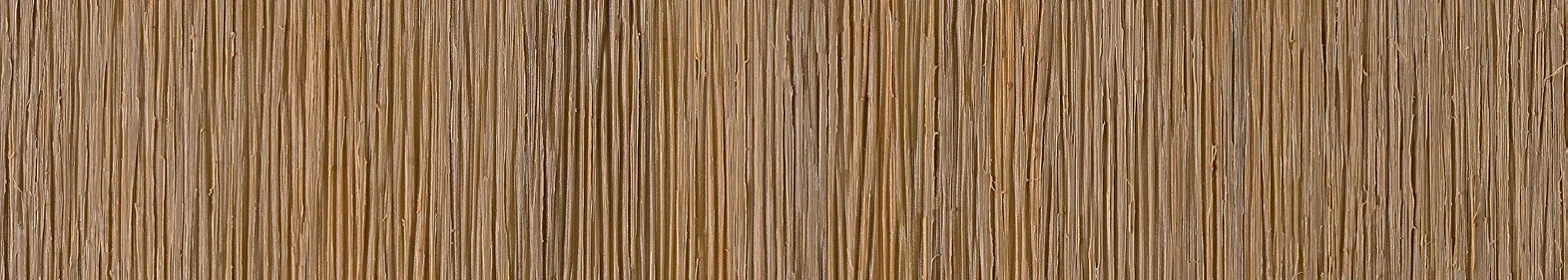 Oak